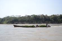 Transport bananes fleuve Beni