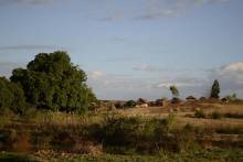 Village Malgache