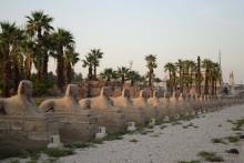 Allée des Sphinx Temple d'Amon