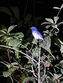 IMG_3137_original