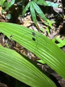 IMG_3144_original