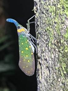 IMG_3150_original