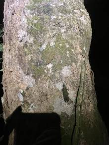 IMG_3152_original
