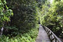 Parc National Niah