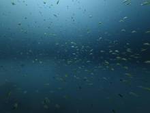 IMG-20260226-WA0010_original