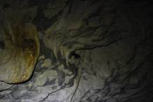 Lagang Cave Mulu