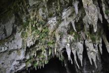 Clearwater Cave Mulu