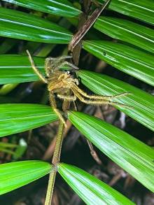 IMG-20250803-WA0003_original