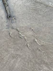 IMG-20250803-WA0004_original
