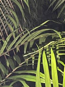 IMG-20250803-WA0010_original