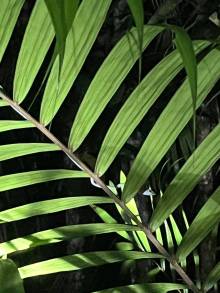IMG-20250803-WA0011_original