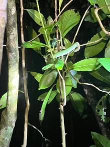 IMG-20250803-WA0014_original